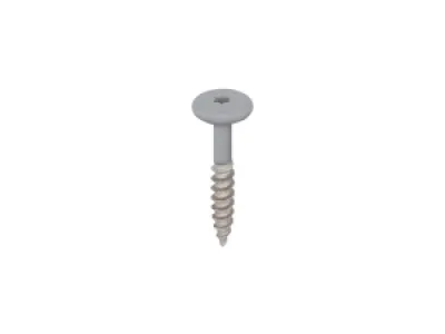 Keralit Schroef 32mm rvs torx20 (2890)