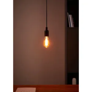 Lichtbron GOLDEN AGE E27 ST64 300LM 1700K Dimbaar