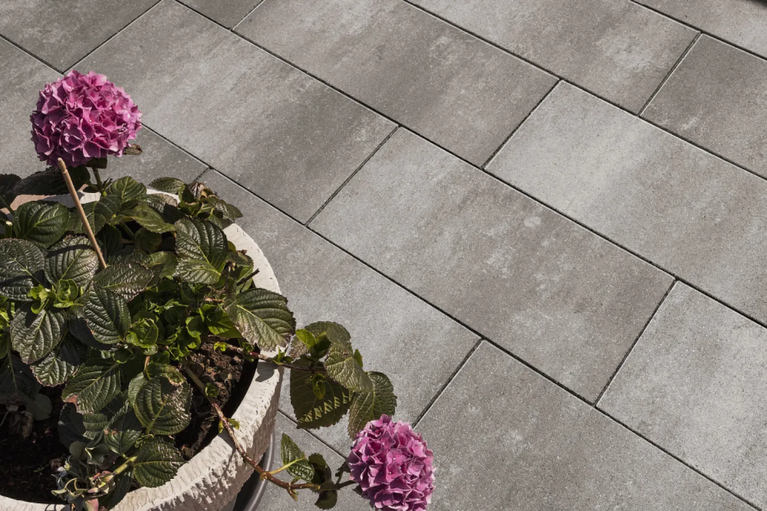Smartton XL Linea 20x30x8 cm