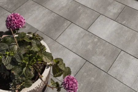 Smartton XL Linea 20x30x8 cm