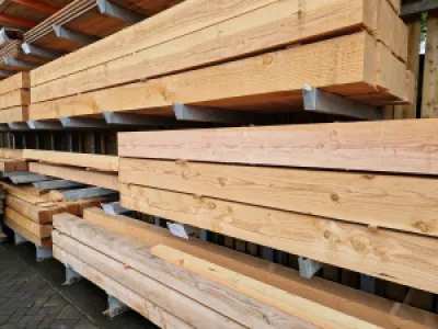 Hout