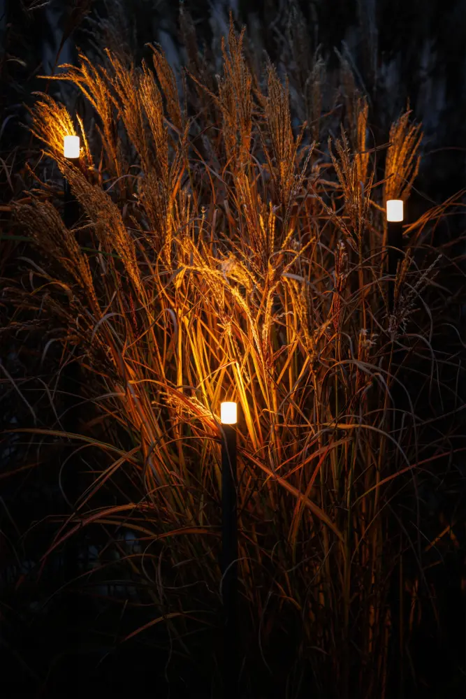 Lightpro Erba set a 3st