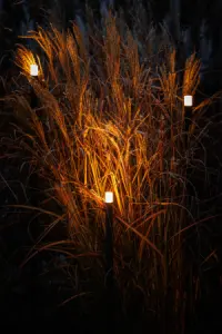 Lightpro Erba set a 3st