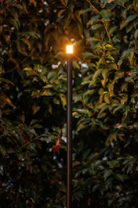 Lightpro Erba Medium
