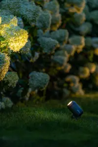 Lightpro Castor spot (dimbaar)