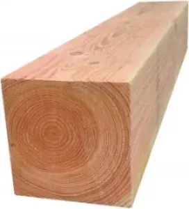 Palen